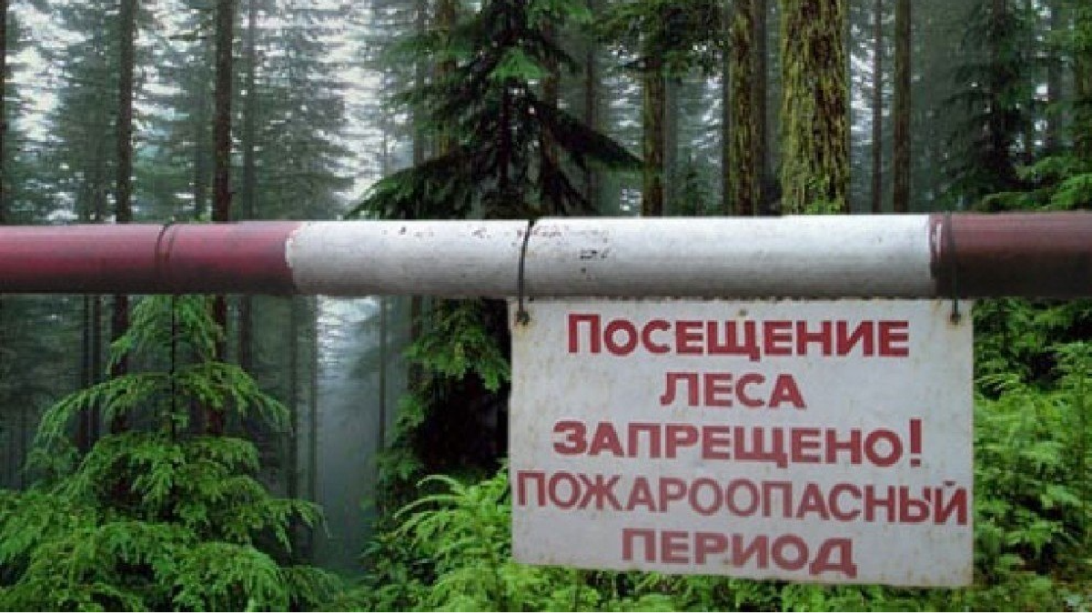 У Криму продовжили заборону на відвідування лісів